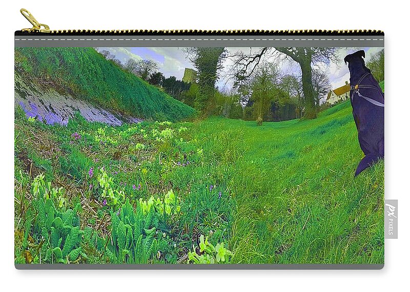 Green Zip Pouch featuring the photograph Dog Walk Dreamscape In Fairy Greens by Rowena Tutty