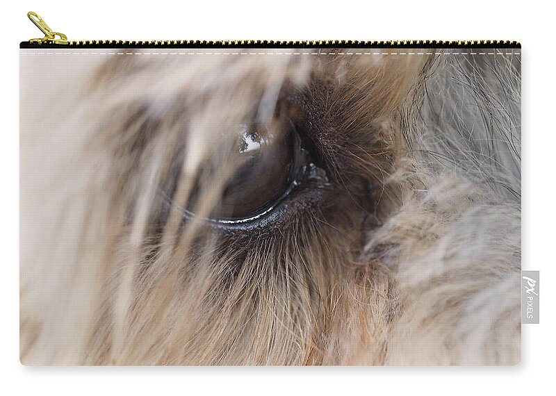 Dog Zip Pouch featuring the painting Dog's eye by Sv Bell