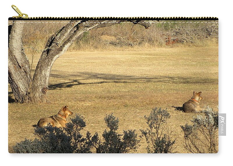 Dogs At The Ranch Zip Pouch featuring the photograph Dogs lounging at the ranch by Don Varney