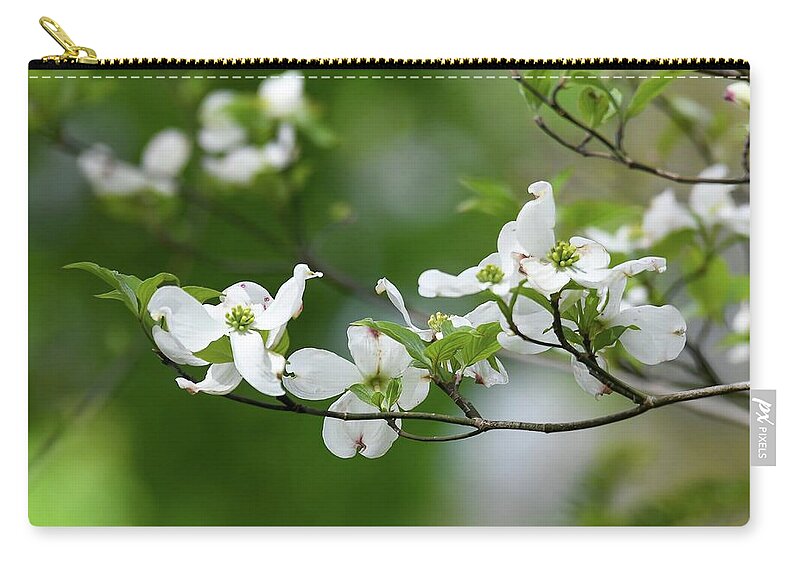 Dogwood Blooms Zip Pouch featuring the photograph Dogwood Dreams by Kerri Farley
