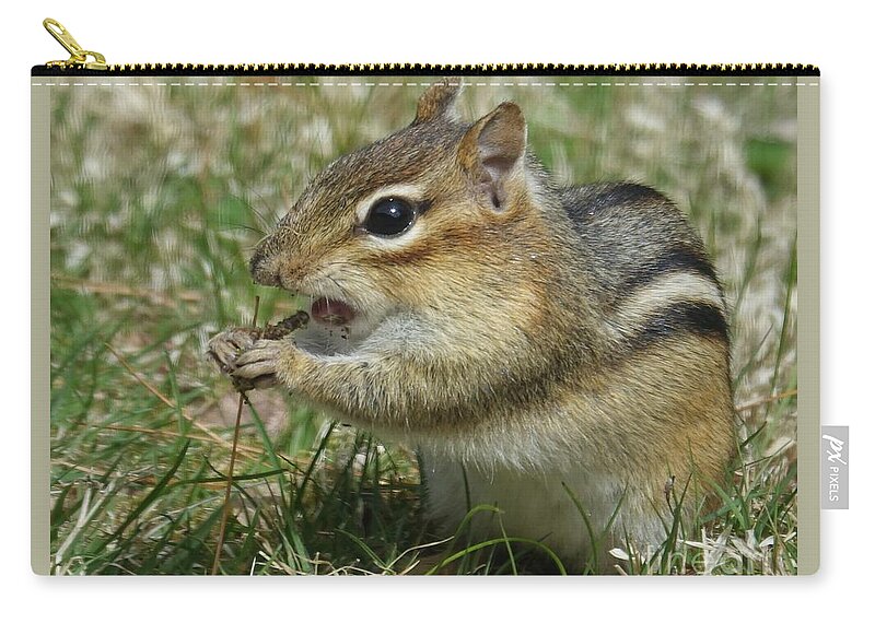 Chipmunk Zip Pouch featuring the photograph Dont You Dare Eat That by Lori Lafargue