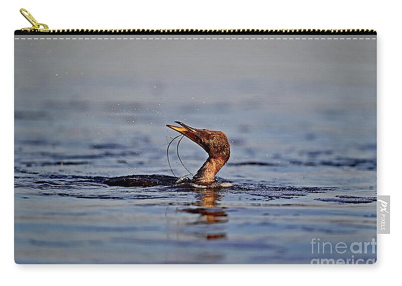 Double-crested Cormorant Zip Pouch featuring the photograph Double-crested Cormorant trying to detangle itself by Amazing Action Photo Video