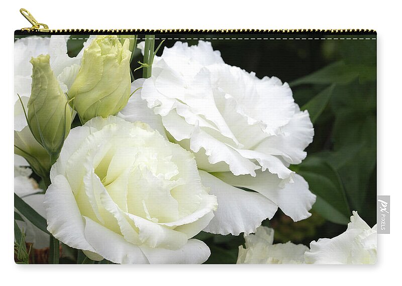Double Zip Pouch featuring the photograph Double Hibiscus by Patty Colabuono