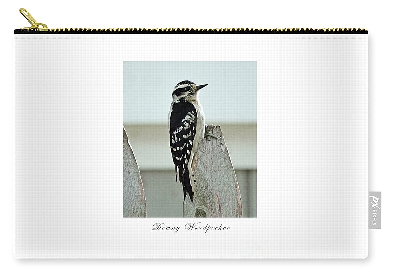 Bird Zip Pouch featuring the photograph Downy Woodpecker by Dianne Morgado