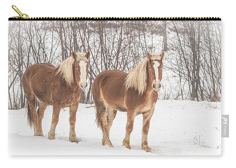 Draft Horse Zip Pouch featuring the photograph Drafted for Duty by Amfmgirl Photography