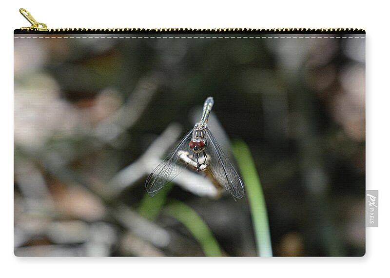  Carry-all Pouch featuring the photograph Dragon 1 by David Armstrong