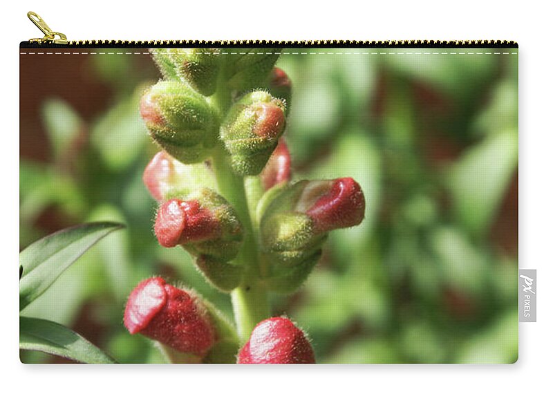  Zip Pouch featuring the photograph Dragon Buds by Heather E Harman
