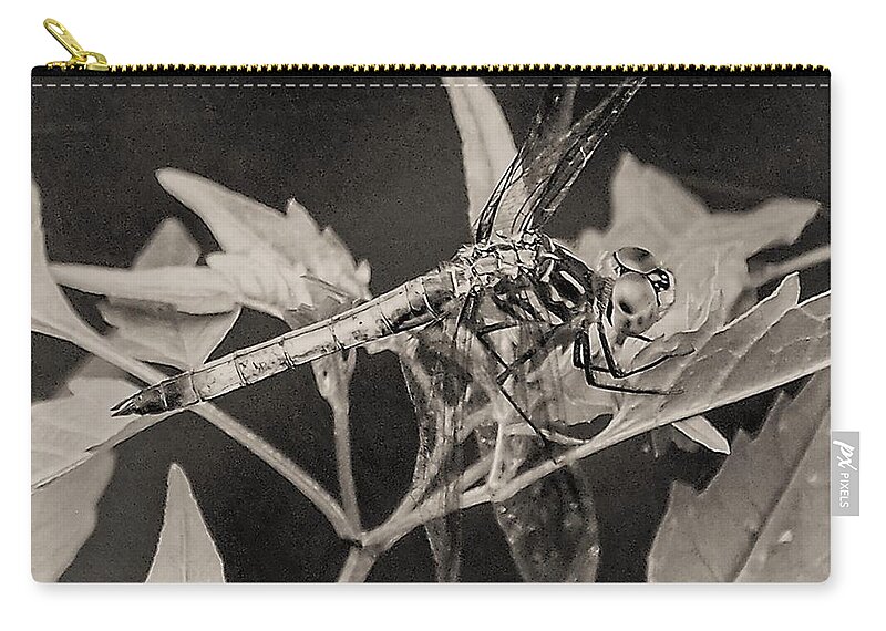 Dragon Fly Leaves Close Black White Zip Pouch featuring the photograph Dragon Fly by John Linnemeyer