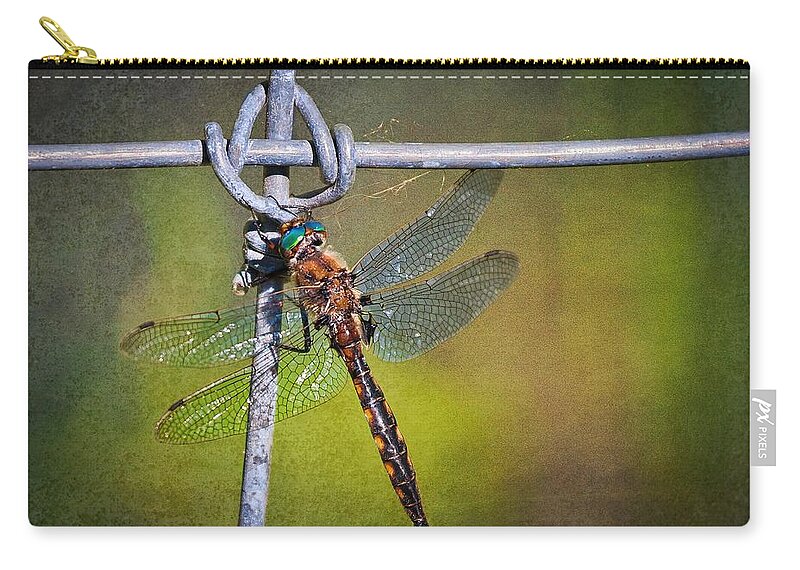 Dragonfly Zip Pouch featuring the photograph Dragonfly at rest by Tatiana Travelways