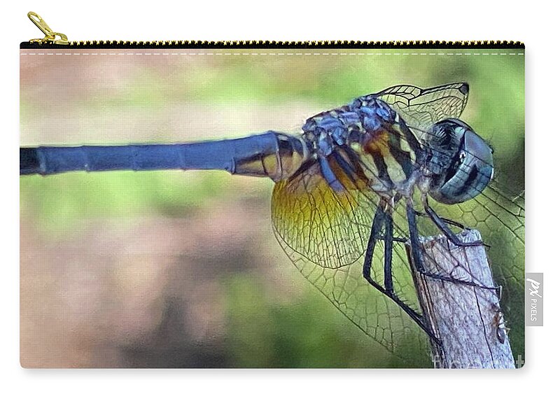Dragonfly Legend Zip Pouch featuring the photograph Dragonfly Visiting Clayton NC by Catherine Ludwig Donleycott