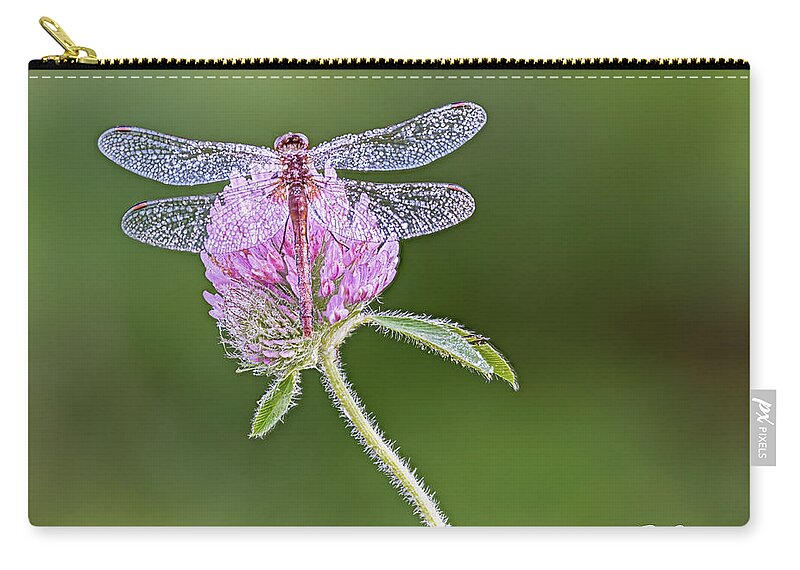 Dragonfly Zip Pouch featuring the photograph Dragonfly on Clover by Peg Runyan