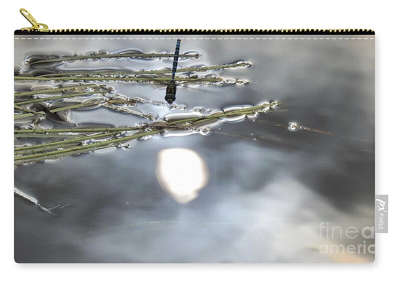 Sun Reflected Zip Pouch featuring the photograph Dragonfly talks to the Sun by Nicola Finch