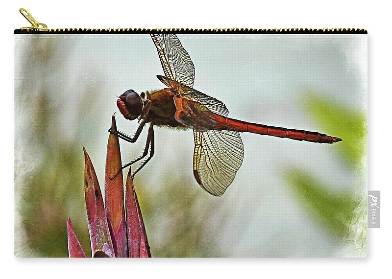 Dragonfly Zip Pouch featuring the photograph Dragonfly with vignette by Bill Barber