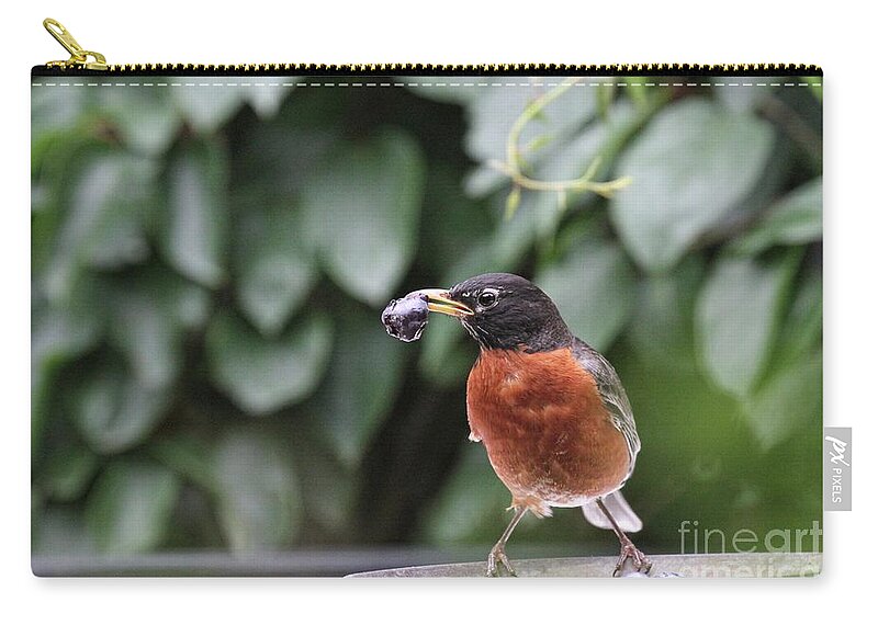 Wildbird Zip Pouch featuring the photograph Draining Fruit by Patricia Youngquist