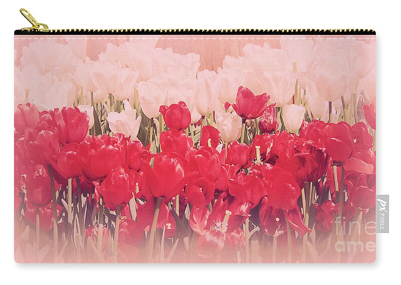 Flowers Zip Pouch featuring the photograph Dreaming Tulips by Elaine Teague