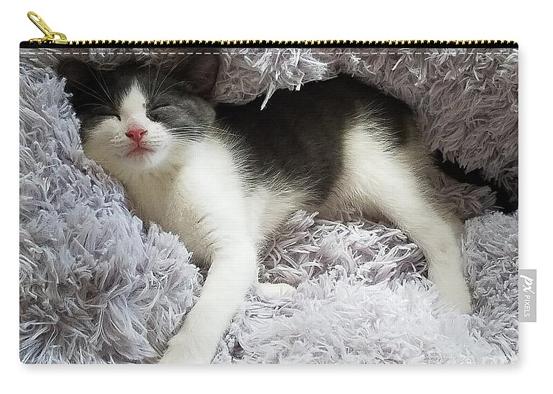 Kittens Zip Pouch featuring the photograph Dreamland by Jimmy Chuck Smith