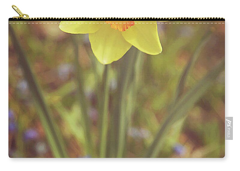 Dreamy Daffodil Zip Pouch featuring the photograph Dreamy Daffodil by Carrie Ann Grippo-Pike