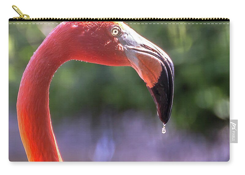 Zoo Zip Pouch featuring the photograph Dripping flamingo by Robert Miller