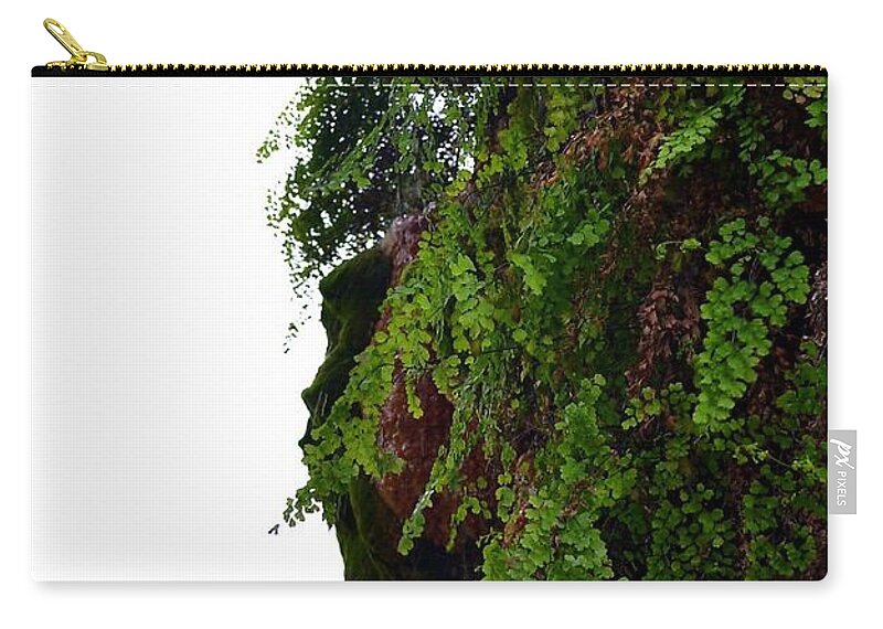 Dripping Spring Photograph Zip Pouch featuring the photograph Dripping Spring by Expressions By Stephanie