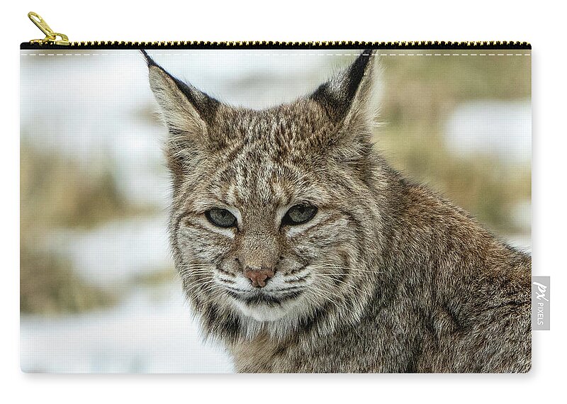  Carry-all Pouch featuring the photograph Dsc05216 by John T Humphrey