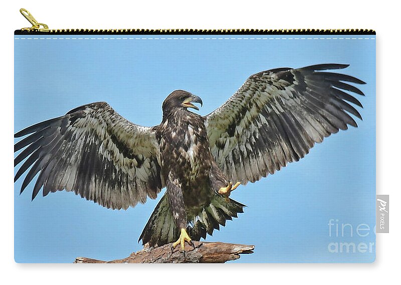 Swfl Zip Pouch featuring the photograph E16 by Liz Grindstaff