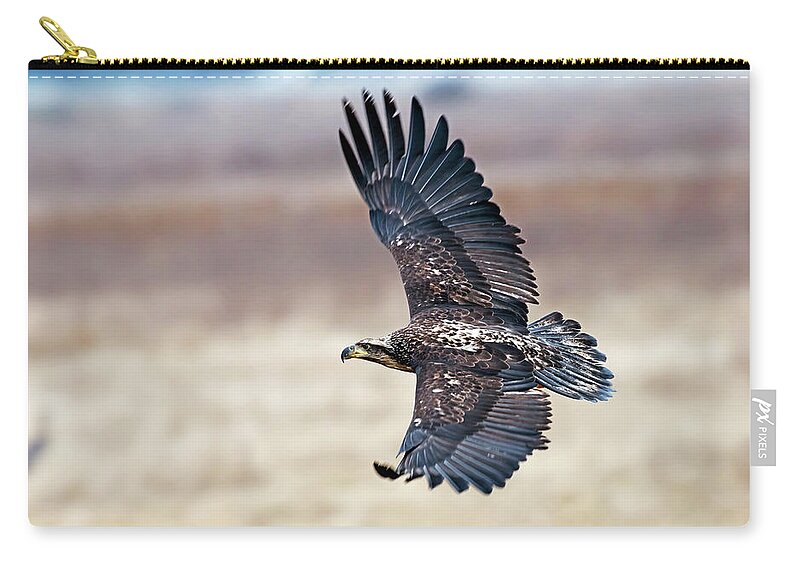 Eagle Zip Pouch featuring the photograph Eagle in flight by Terry Dadswell