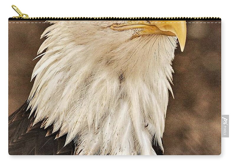 Eagle Eye Feathers Close Yellow Zip Pouch featuring the photograph Eagle by John Linnemeyer