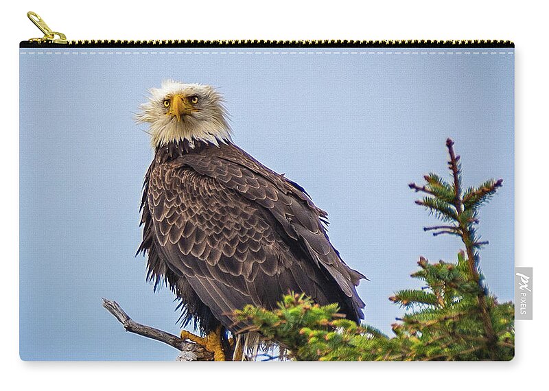 Eagle Zip Pouch featuring the photograph Eagle on Guard by Erin K Images