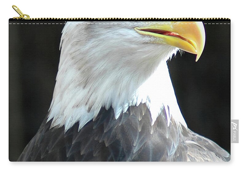Eagle Zip Pouch featuring the photograph Eagle Pose by Jerry Griffin