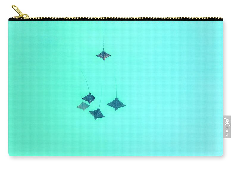 Eagle Ray Zip Pouch featuring the photograph Eagle Rays by Christopher Johnson