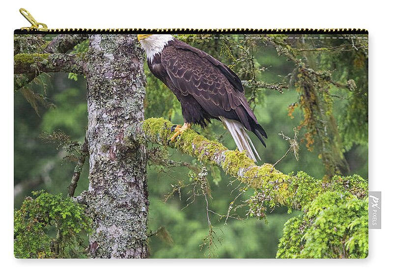 Eagle Carry-all Pouch featuring the photograph Eagle Tree by Michael Rauwolf