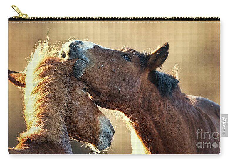 Salt River Wild Horses Zip Pouch featuring the photograph Ear Nibble by Shannon Hastings
