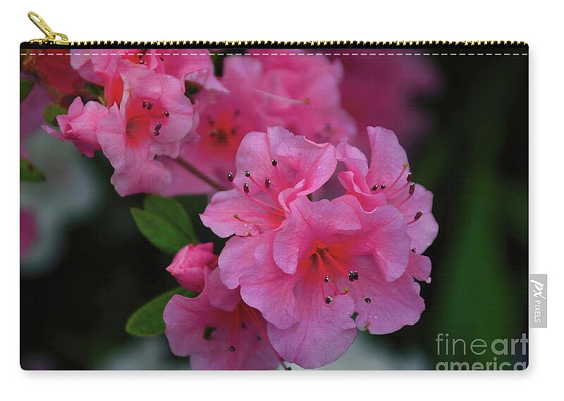 Floral Zip Pouch featuring the photograph Early Spring Pink by Diana Mary Sharpton