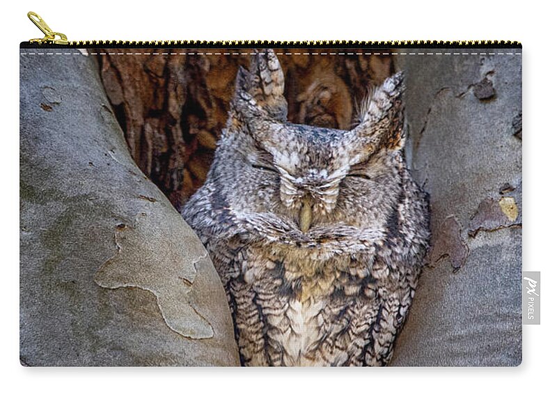 Eastern Gray Screech Owl Zip Pouch featuring the photograph Eastern Gray Screech Owl by Teresa Jack