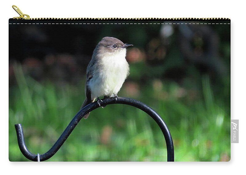 Birds Carry-all Pouch featuring the photograph Eastern Phoebe by Linda Stern