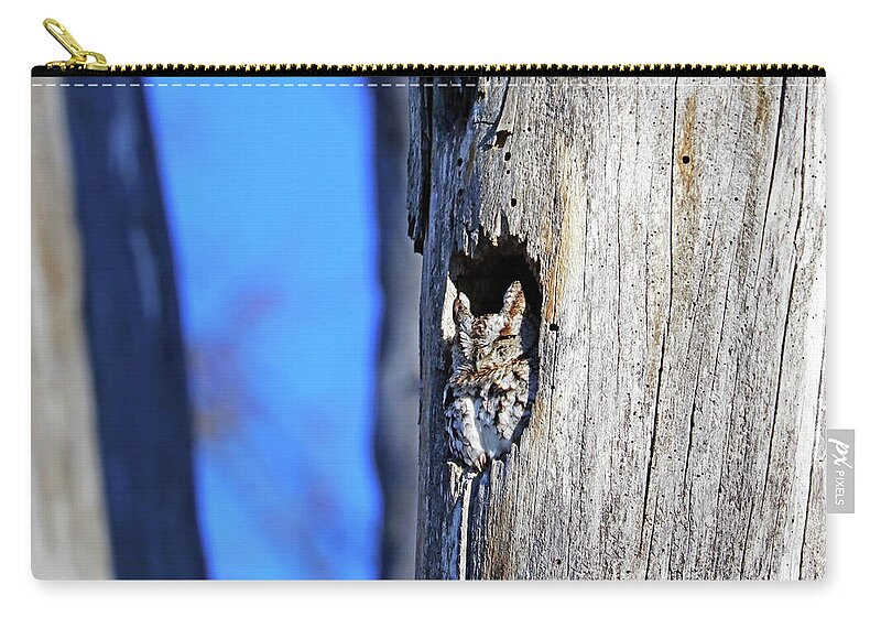 Owl Zip Pouch featuring the photograph Eastern Screech Owl In Daytime Hideaway by Debbie Oppermann