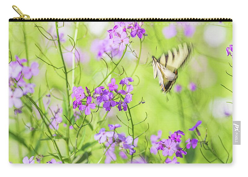 Animals Zip Pouch featuring the photograph Eastern Tiger Swallowtail Butterfly 2 - Nature Photography by Amelia Pearn