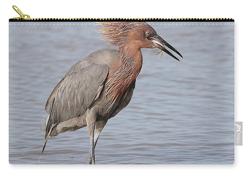 Reddish Egret Carry-all Pouch featuring the photograph Eating a Fish May Need Greater Efforts by Mingming Jiang