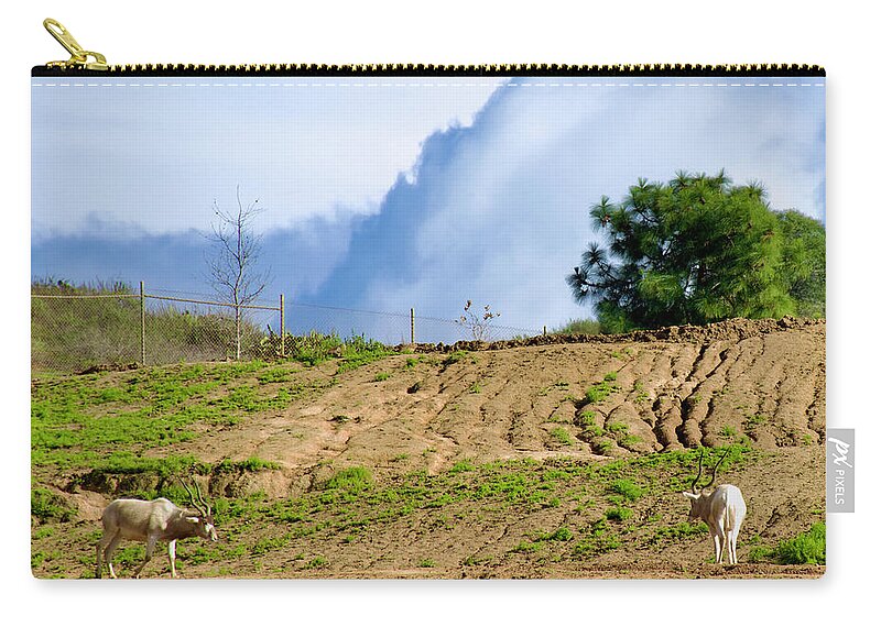 Elands Meet Under A Cloudy Sky In San Diego Zoo Safari Park Zip Pouch featuring the photograph Elands Meet Under a Cloudy Sky in San Diego Zoo Safari Park, California by Ruth Hager