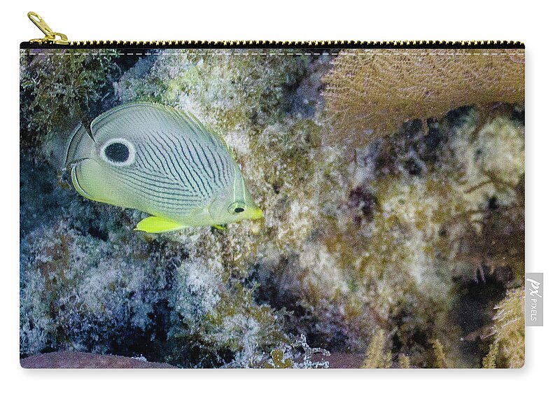 Animals Zip Pouch featuring the photograph Eligible by Lynne Browne