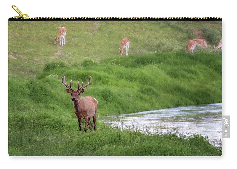 Elk Zip Pouch featuring the photograph Elk on the Middle Loup - Nebraska Sandhills by Susan Rissi Tregoning