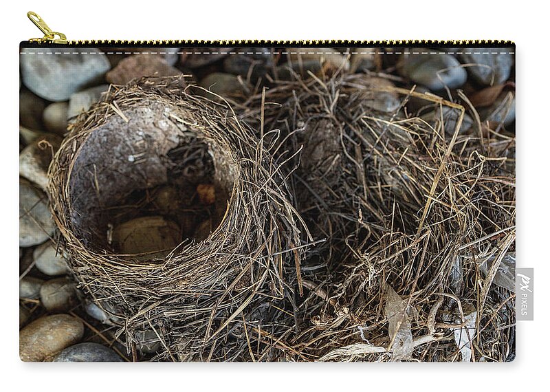 Animals Carry-all Pouch featuring the photograph Empty Nest - Wildlife Photography 2 by Amelia Pearn