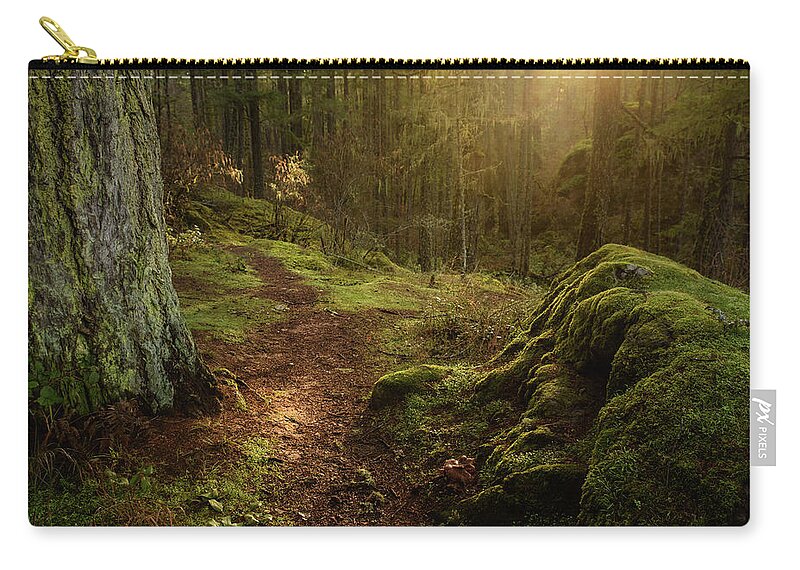 Forest Zip Pouch featuring the photograph Enchanted Temperate Rainforest by Naomi Maya