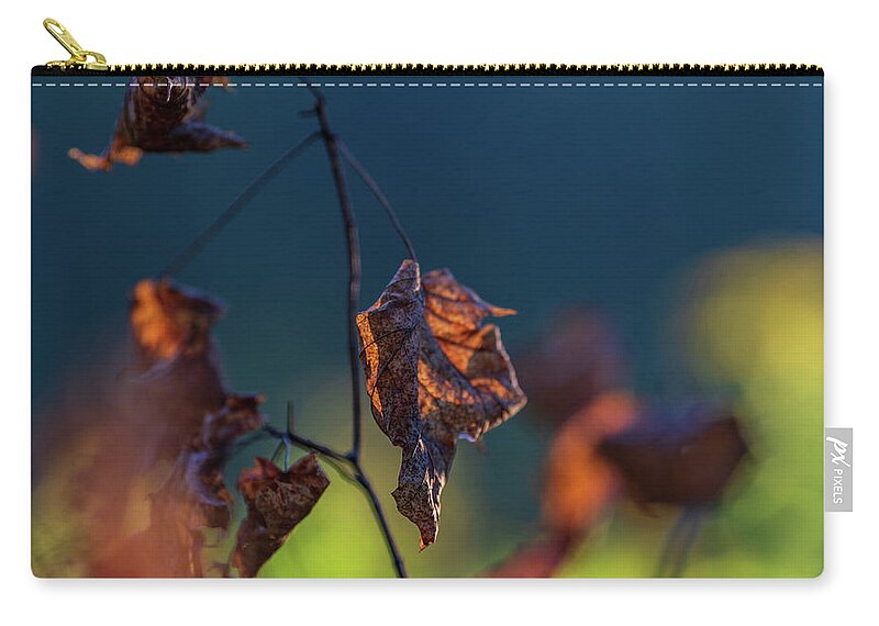 Brown Zip Pouch featuring the photograph End of Autumn by Amelia Pearn