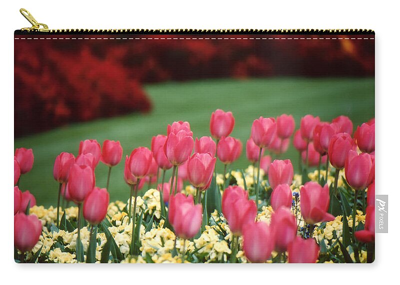 Tulip Zip Pouch featuring the photograph English Garden Tulips by Carolyn Ann Ryan
