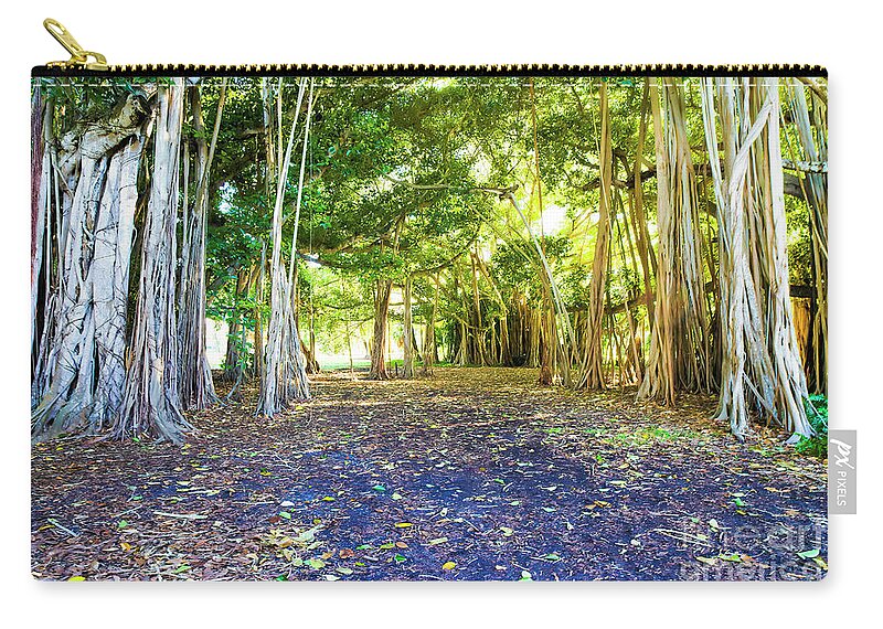 Enlightenment Zip Pouch featuring the photograph Enlightenment, Sunset Inside Banyan Tree Wood by Felix Lai