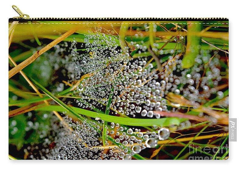 Dewdrops Zip Pouch featuring the photograph Ephemeral Dewdrops on Cobwebs by Debra Banks