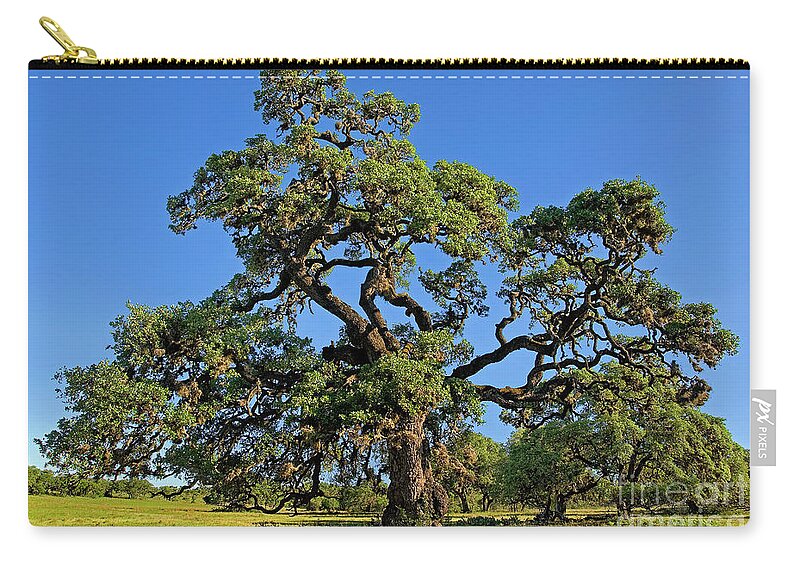 Dave Welling Carry-all Pouch featuring the photograph Escarpment Oak Quercus Fusiformis Hill Country Texas by Dave Welling
