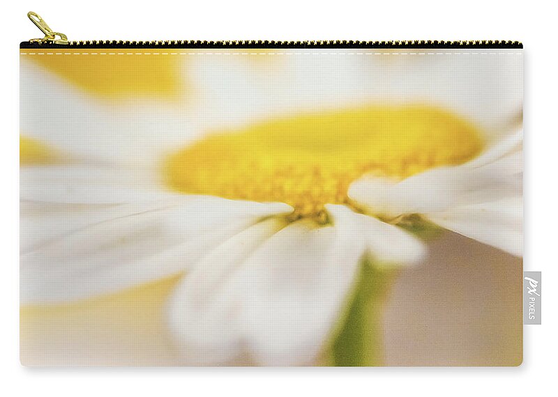 Flower Zip Pouch featuring the photograph Essence of a Daisy by Laura Roberts