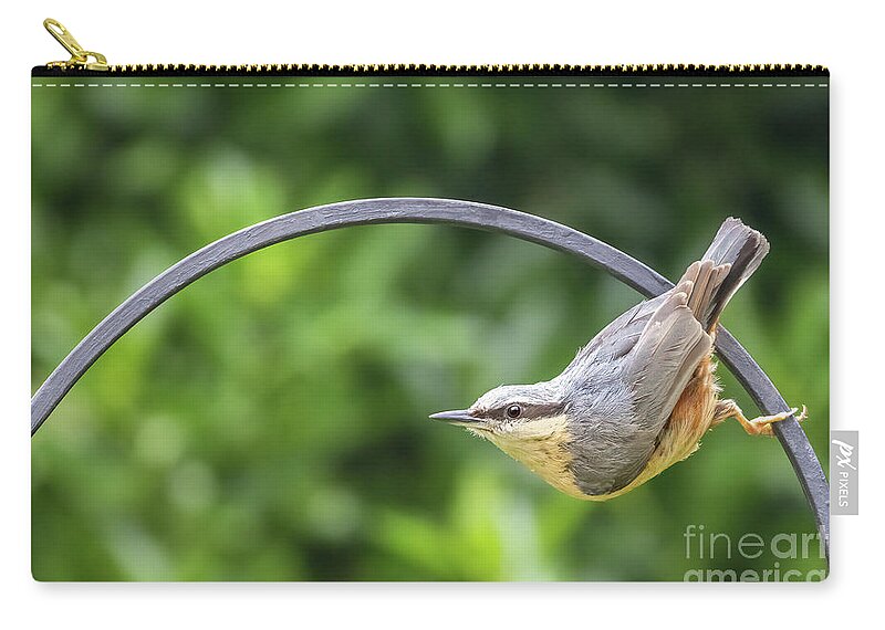 Nuthatch Zip Pouch featuring the photograph Eurasian nuthatch perched on a metal railing by Jane Rix